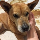 明日から連休じゃないかーーぃ