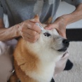 目薬させた♪