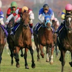 BOSS猿のアナログ肉眼競馬