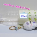 シマエナガちゃんたちの出品予定です♪