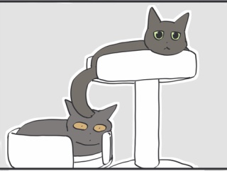 寝室での猫たち