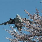 日常と非日常な日々