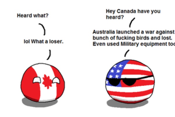 しろがねのblog ポーランドボール