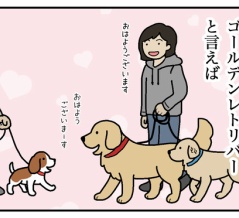 エフ漫画『愛想のないゴールデンレトリバー』