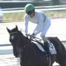 【次走報】新馬戦を制したアクセスは京成杯へ！