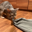 脱ぎたてのズボンを狙われ、変態になる飼い主…