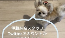 【元乃木坂】伊藤純奈スタッフ、Twitter始める！！！
