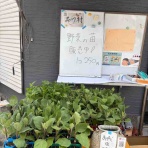 品川村村長ブログ。（公式）
