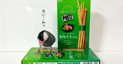 セラへのお土産（不発編）
