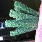 『南風めだか』の飼育日記