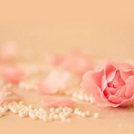 女性のための幸せな心の習慣の作り方～茨城・筑西　フラワースクールＦ．ｍｅｓｓａｇｅ