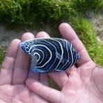 ＫＵＲＯｎｏＢＬＯＧ