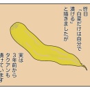 タクアンはカツ丼の友だから