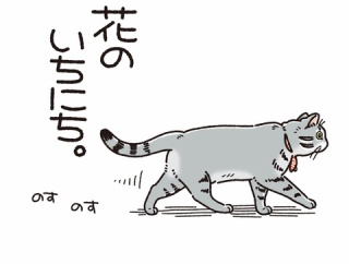 花のいちにち