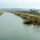 必ず釣れます