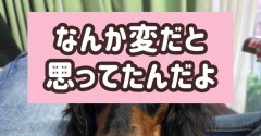 万事了解。ママに任せなさい。