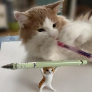 ペンを持ち上げるネコとペンを噛む猫