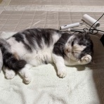 いつかのさんた 今日のみゅう