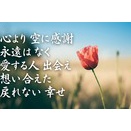 感謝　 平原綾香