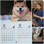 たそがれゴルファーのライブ情報