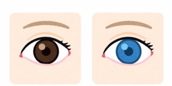 デートの時、左目だけにグリーンのカラコンを入れてエセオッドアイで登場してきた元彼ｗｗｗｗｗｗ