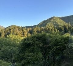 仕事の方法