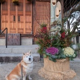 �������ޤ��Ƥ���ǤȤ��������ޤ��٤β���