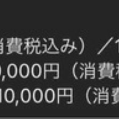 ついに申し込みました プライベートvipツアー 噂のdヲタくんのディズニーレポート