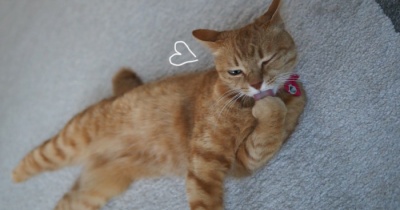 雨の気配はないけど…