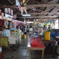 Down On The Road By The Alley �� �ե���ԥ󡦥����硦���쥰�ꥢ��AUG.,2016���֥��쥰�ꥢ�����Ծ�פ�