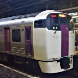 『215系の横須賀線試運転の真相~運用復活なわけあるか‼~線路内進入撮り鉄も?』の画像