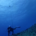 サイパンから思うこと・・ONE OCEAN