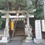 自然農菜園「はたけや」の作業日誌