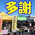 温泉めだかのブログ