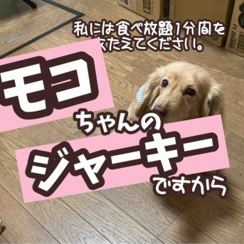 女帝のいち日。