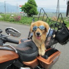 『WAN・ライダー　バディ！！』の画像