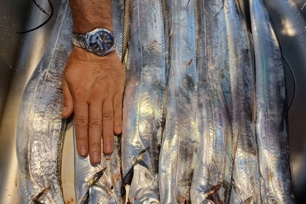 わたしのたからもの