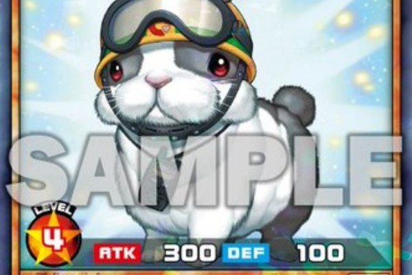 遊戯王&ドラゴンボール通販予約情報局 - ラッシュデュエル カード