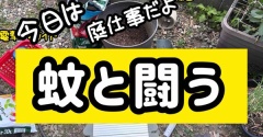 新兵器導入。