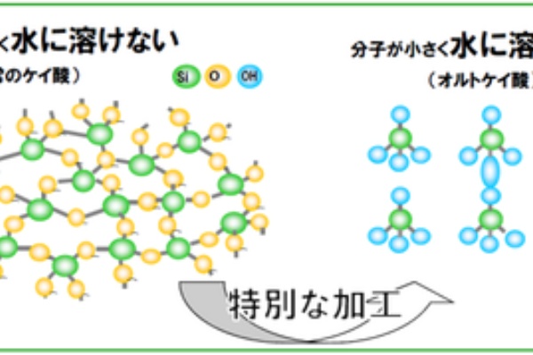 雑草の都合 農法 土つくり
