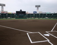 VS広島戦、甲子園での勝率が凄すぎる！！