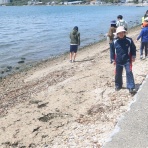 認定特定非営利活動法人静岡県CC緑化協会