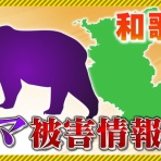 登山ちゃんねる