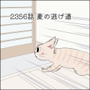 あんこ＆麦2357 麦の逃げ道