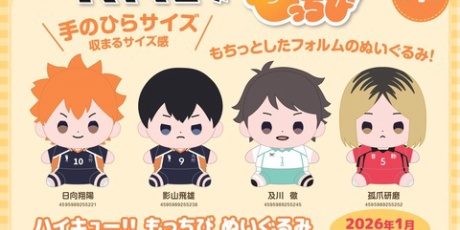 アニメ＆漫画 グッズ情報 - ハイキュー!!