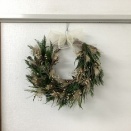 今年も始まりました