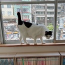 しつこく溝の口ネタ