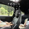 草を結ぶ（回顧録）