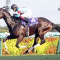 ピクシーナイト種付け数176頭！JRA史上初の父系5代GI制覇へ視界良好
