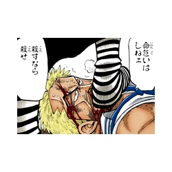 ワンピース ネタバレ あにこぱす